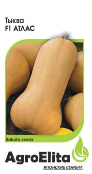 Тыква Атлас F1 (агроэлита) 5шт (sakata)