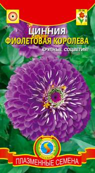 Цинния Фиолетовая королева (плазмас) 0,3гр