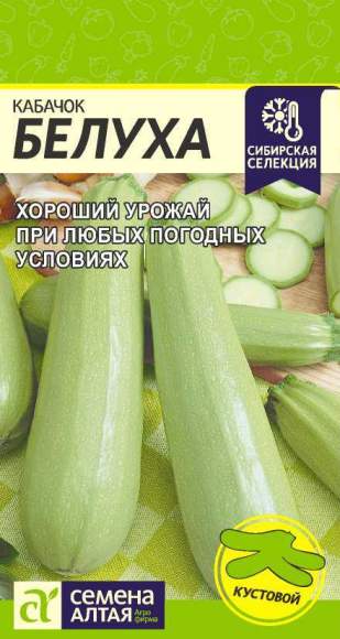 Кабачок Белуха (семена Алтая) 2,0 гр  – купить в г. Москва
