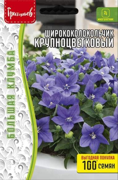 Ширококолокольчик Крупноцветковый (Григорьев) 100шт 
