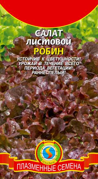  Салат листовой Робин (п) 0,5гр 