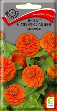 Цинния низкорослая Фея оранжевая (поиск) 0,1 гр Цинния низкорослая Фея оранжевая (поиск) 0,1 гр