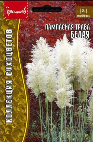 Кортадерия Белая (пампасная трава) (Григорьев) 0,01гр 