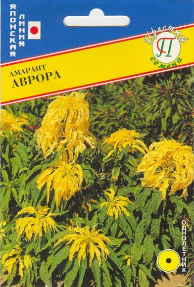 Амарант Аврора (престиж) 25 шт (sakata)  – купить в г. Москва