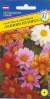 Георгина изменчивая Рання пташка (престиж) 20 шт  – купить в г. Москва