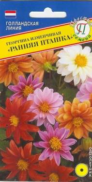 Георгина изменчивая Рання пташка (престиж) 20 шт