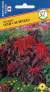 Амарант Оли Сплендэ (престиж) 25 шт (sakata)  – купить в г. Москва