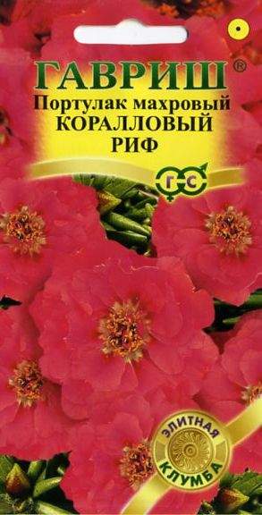 Портулак Коралловый риф (гавриш) 0,01 гр Портулак Коралловый риф (гавриш) 0,01 гр