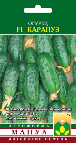 Огурец Карапуз F1 (манул) 10шт  – купить в г. Москва