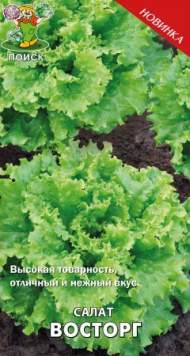 Салат листовой Восторг (поиск) 1,0 гр