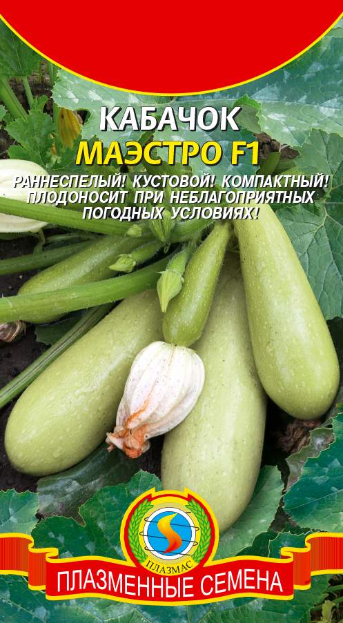 Купить Кабачок Маэстро F1 (п) 8шт от