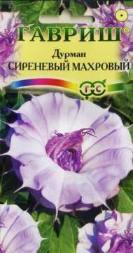 Дурман Сиреневый махровый (г) 3шт