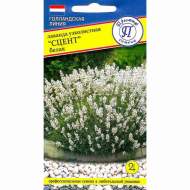 Лаванда узколистная Сцент белая (престиж) 5 шт