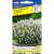 Лаванда узколистная Сцент белая (престиж) 5 шт  – купить в г. Москва