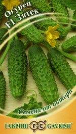 Огурец Зятек F1 (гавриш) 10шт Огурец Зятек F1 (гавриш) 10шт