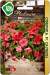 Петуния Сферика Салмон F1 (биотехника) 10шт  – купить в г. Москва
