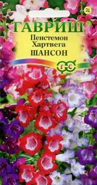 Пенстемон Хартвега Шансон (гавриш) 0,1гр Пенстемон Хартвега Шансон (гавриш) 0,1гр