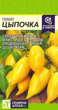 Томат Цыпочка (семена Алтая) 10 шт Томат Цыпочка (семена Алтая) 10 шт