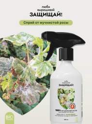 Спрей от мучнистой росы ZEMA 450мл Спрей от мучнистой росы ZEMA 450мл