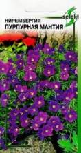 Нирембергия Пурпурная мантия (дс) 90шт