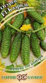 Огурец Кадриль F1 (г) 10шт