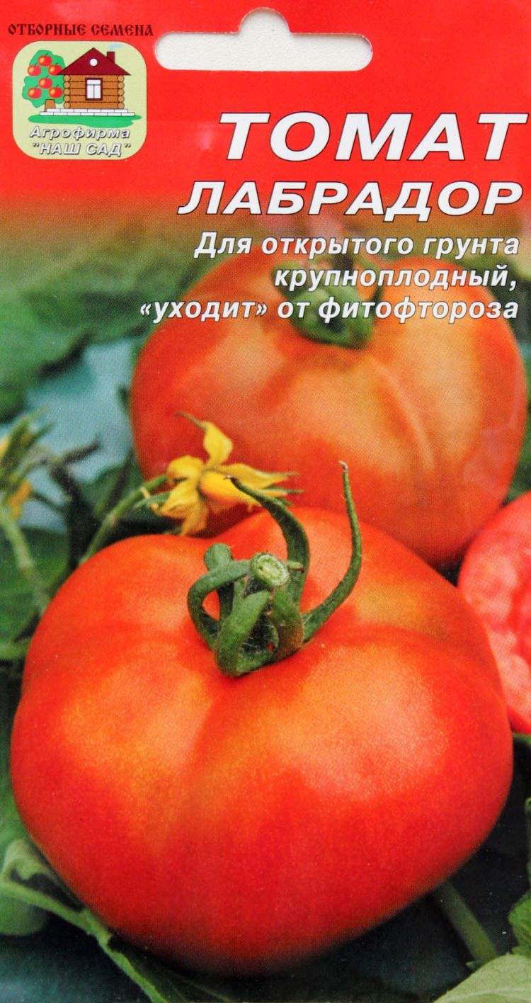 Опыт выращивания в домашних условиях