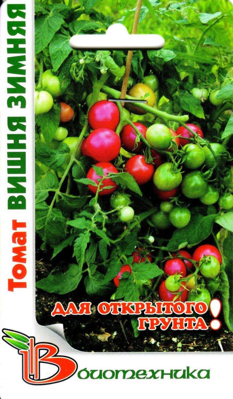 Томат зимняя вишня биотехника. Помидоры зимняя вишня описание. F1 зимняя вишня. Томат зимняя вишня биотехника. Томат черри зимняя вишня.