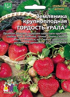Земляника крупноплодная Гордость урала (уральский дачник) 10шт 