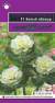 Капуста декоративная Белый абажур F1 (гавриш) 4 шт  – купить в г. Москва