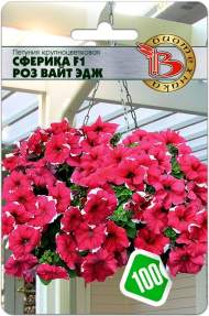 Петуния Сферика Роз вайт эдж F1 (биотехника) 10шт Петуния Сферика Роз вайт эдж F1 (биотехника) 10шт