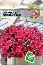 Петуния Сферика Роз вайт эдж F1 (б) 10шт