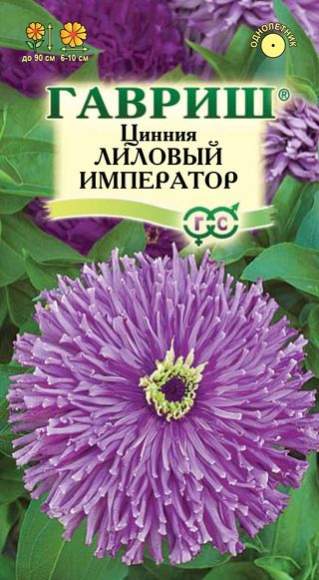 Цинния Лиловый император (гавриш) 0,2 гр Цинния Лиловый император (гавриш) 0,2 гр