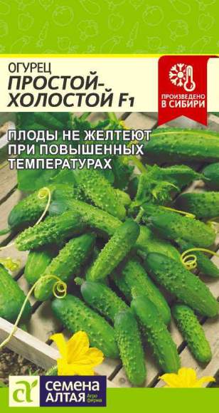 Огурец Простой-холостой F1 (семена Алтая) 10 шт