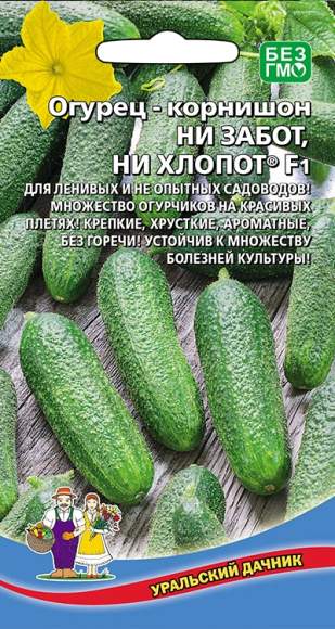Огурец Ни забот, ни хлопот F1 (уральский дачник) 10 шт  – купить в г. Москва