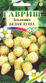 Земляника Белая душа (гавриш) 0,03гр Земляника Белая душа (гавриш) 0,03гр
