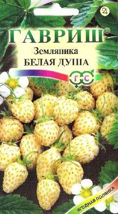 Купить семена Земляника Белая душа (гавриш) 0,03гр — доставка по России ...