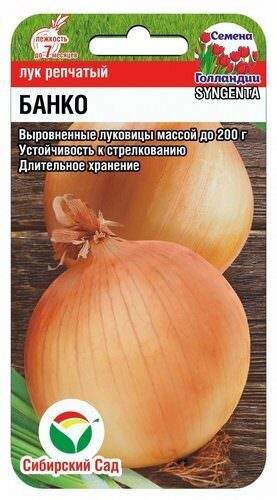 Лук репчатый Банко F1 (сибирский сад) 200 шт  – купить в г. Москва