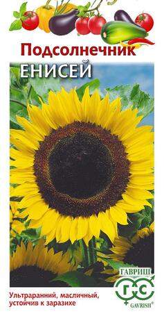 Подсолнечник Енисей (гавриш) 10,0 гр  – купить в г. Москва