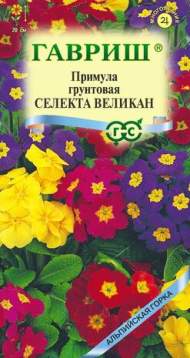 Примула Селекта Великан (гавриш) 10 шт