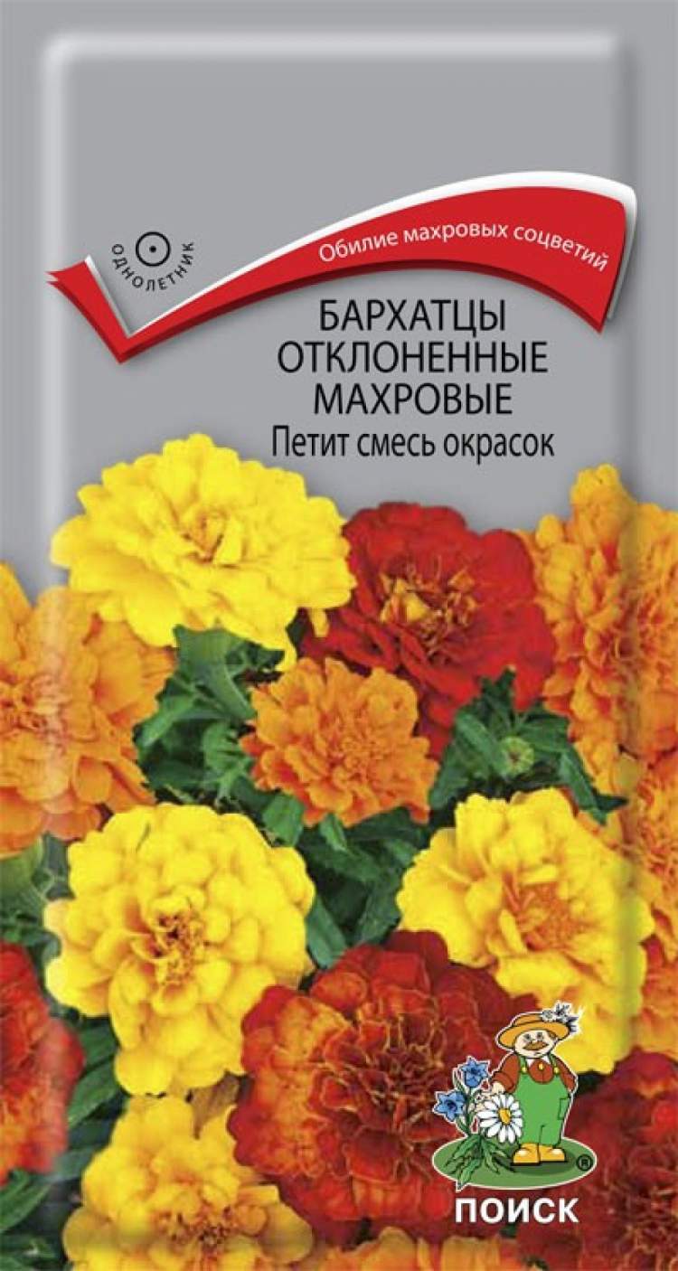 Бархатцы Бонита отклоненные, смесь Аэлита ц
