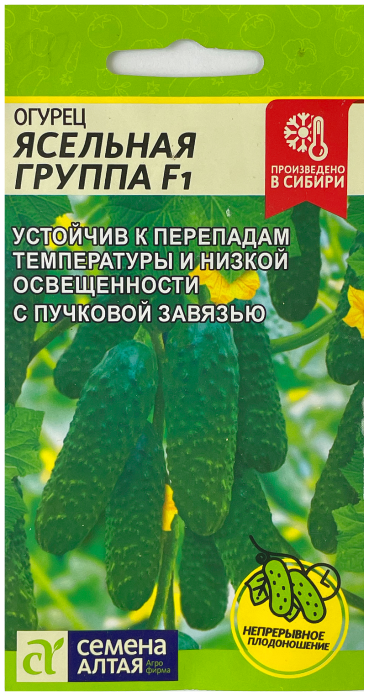 Купить семена Огурец Ясельная группа F1 (семена Алтая) 5шт с доставкой  курьером и почтой в интернет-магазине Семена на Яблочкова