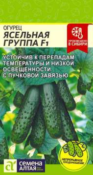Огурец Ясельная группа F1 (семена Алтая) 5 шт Огурец Ясельная группа F1 (семена Алтая) 5 шт