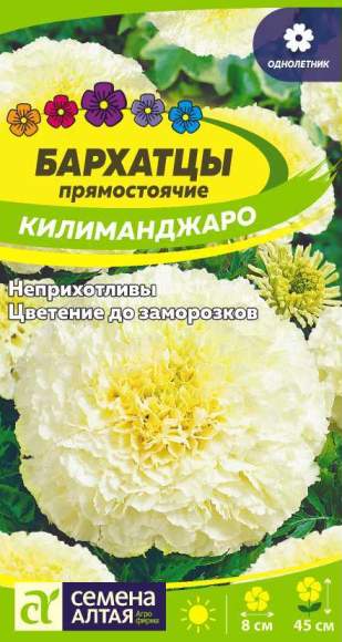 Бархатцы Килиманджаро (семена Алтая) 0,05гр 