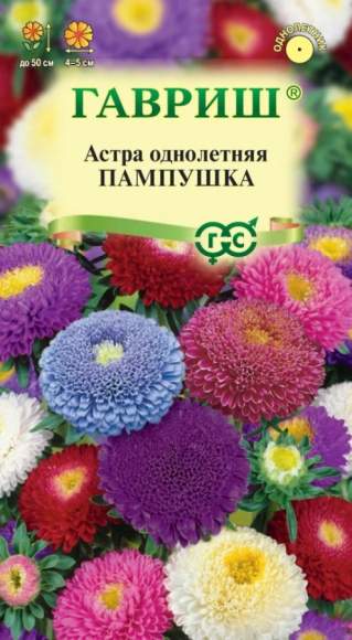 Астра Пампушка смесь (помпонная) (гавриш) 0,3гр – купить в г. Москва Астра Пампушка смесь (помпонная) (гавриш) 0,3гр – купить в г. Москва