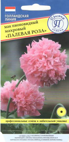 Мак пионовидный Махровый Палевая роза (престиж) 0,1 гр однолетний  – купить в г. Москва