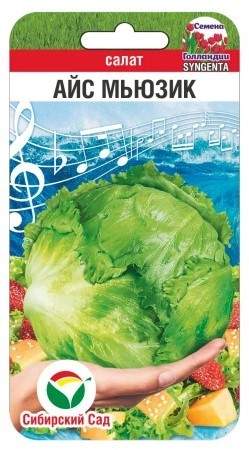 Салат кочанный Айс мьюзик (сибирский сад) 15 шт – купить в г. Москва Салат кочанный Айс мьюзик (сибирский сад) 15 шт – купить в г. Москва