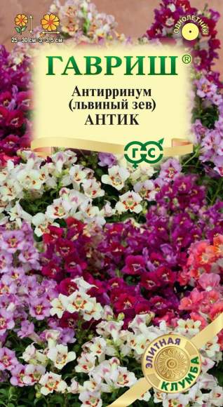 Антирринум (львиный зев) Антик смесь (гавриш) 7 шт  – купить в г. Москва