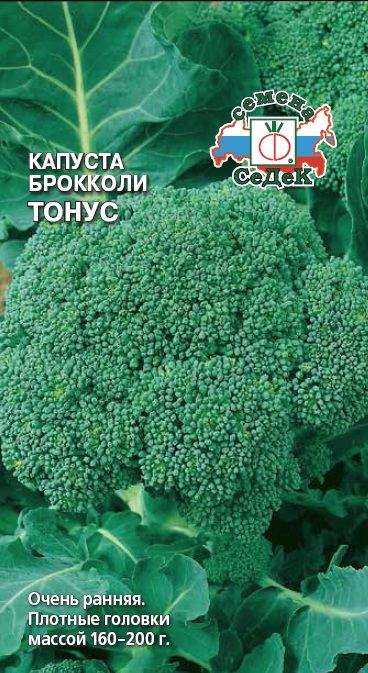 Семена Капусты Новатор Купить