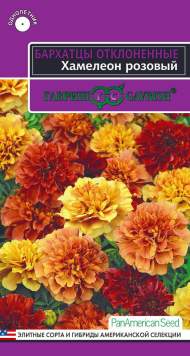 Бархатцы Хамелеон розовый (гавриш) 5 шт