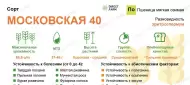 Пшеница озимая Московская 40 (сидерат) (г) 0,5кг Пшеница озимая Московская 40 (сидерат) (г) 0,5кг